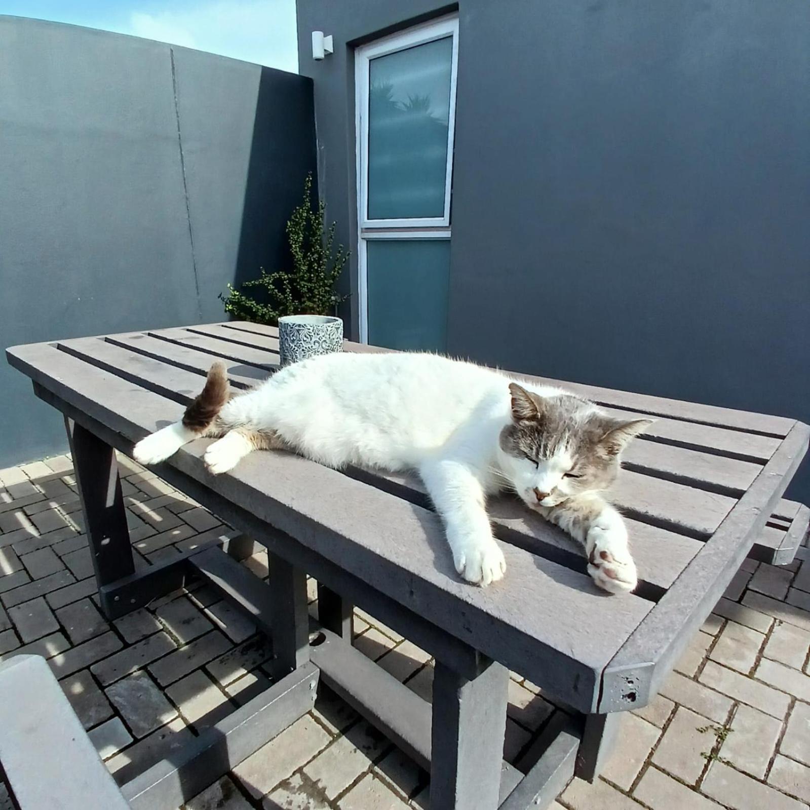 Wanderlust Private Studio Apartment Langebaan Zewnętrze zdjęcie
